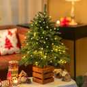 BLOSMON Christmas Norfolk Pine Tree: 2.6ft Small Table Top Christmas Tree with Lights - Remote Control 70 LEDs Timer 8 Lighting Modes Wooden Pot - Mini Artificial Xmas Trees Desk Home Decor