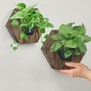 QUOAOT Hexagonal Wooden Wall Planter, Self Watering Living Vertical Planter Indoor, Wooden Frame Planter Wall Decoration Home Office, 2pc Walnut