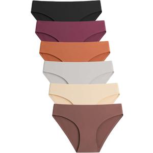 Caterlove Women's Seamless Underwear No Show Stretch Bikini Panties Silky Invisible Hipster 6 Pack (Medium)