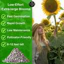 2 x 394+ Giant Mammoth Sunflower Seeds for Planting, Pack for 2027 USA Premium Non-GMO Flower Seeds - Bulk Packet, Heirloom, High Germination, Helianthus annuus (EXP 12/31/27)