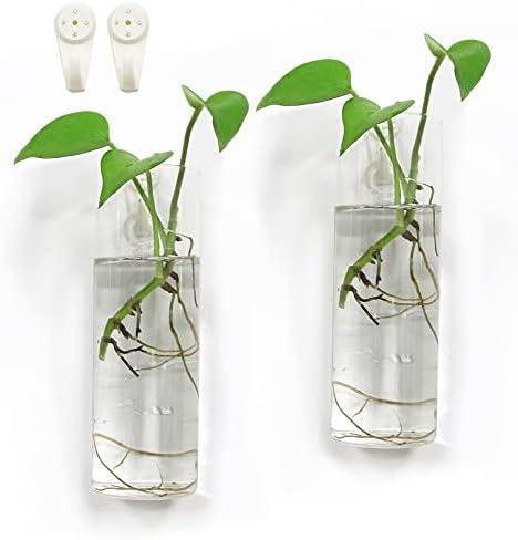 Amazon.com: Bunhut Wall Planters for Indoor Plants,Wall Hanging Terrarium Planters,Glass Wall Planters for Floral Arrangement,Hanging Plant Holder, Wall Vase,Wall Mounted Planters (2 Glass Wall Planter) : Patio, Lawn & Garden