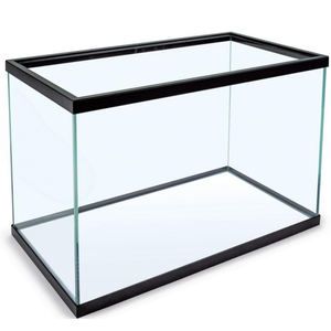 Aquarium Tank 1' x8"x 6"