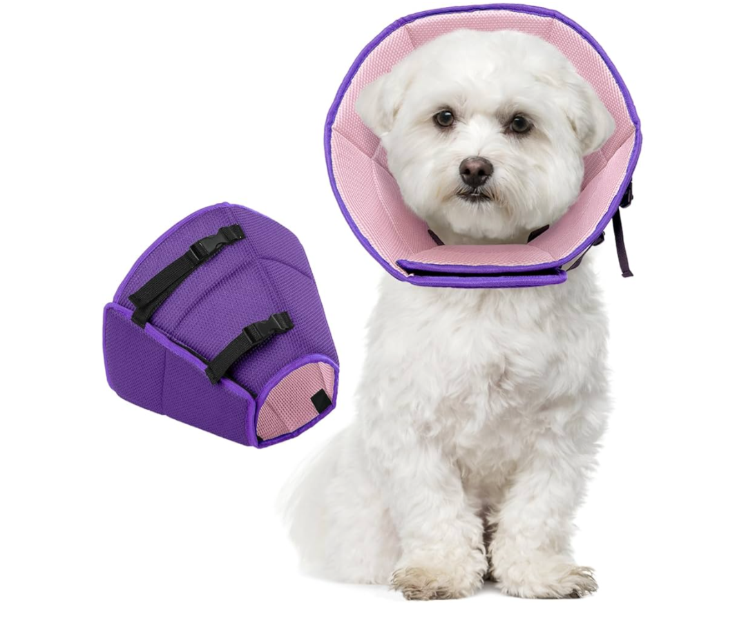 Dog Cone Collar Soft Cone for Medium Dogs After Surgery Adjustable Elizabethan Collar for Dogs to Stop Licking Wounds, Biting Stitches Professional Pet Recovery Cones E-Collar for Dog, Purple, M