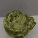 BEDELITE Fleece Blanket Sage Green Throw Blanket for Couch & Bed, Luxury Plush Cozy Fuzzy Blanket 50" x 60", Super Soft Warm Lightweight Throw Blanket for Travel Camping