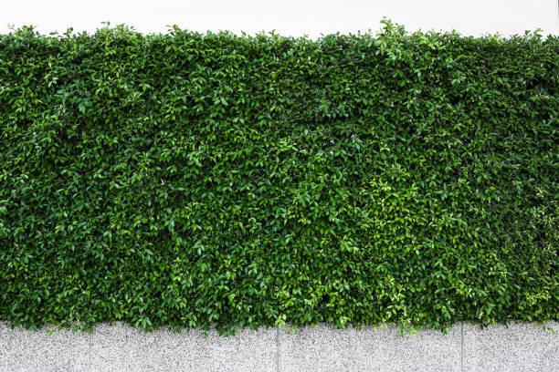 Wall Garden Decoration Artificial Shrub Bush Vine