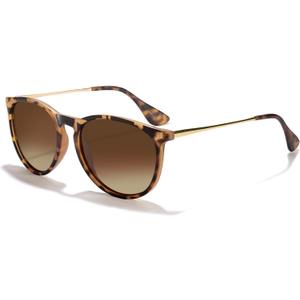 CHBP Polarized Sunglasses for Women Men - Trendy 2025 Vintage Classic Retro Round Mirrored Lens Designer Style (1-a Leopard Frame Brown Lens)