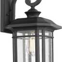 Emliviar Outdoor Wall Lights for House, 1-Light Exterior Wall Sconce Black Finish with Clear Seeded Glass, 17" Height, 22021M, 16.6 Inch