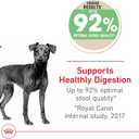 Royal Canin Canine Care Nutrition Small Digestive Care Adult Dry Dog Food, 3.5 lb (3.5 Pound (Pack of 1))