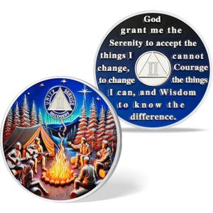 2 x 2 Year Sobriety Coin - Bonfire Society AA/NA Chip Medallion - Sober Group Recovery Gift for Men & Women in Narcotics & Alcoholics Anonymous