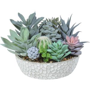 Premium Assorted Artificial Succulent Collection - Large Real Touch Artificial Cactus, Aloe Vera & Succulent Plants Artificial with Pots for Home Office Indoor (Artificial Glass - Pot)