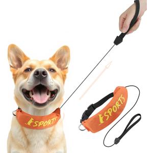 NAMSAN Retractable Dog Leash Collar for Medium to Large Dogs, Dog Collar with Retractable Leash Built-in, All-in-One, Adjustable, Orange