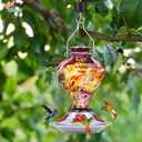 Hummingbird Feeder, BOLITE Glass Hummingbird Feeders for Outdoors Hanging, Hand Blown Twisted with Ant Moat, 5 Bee-Proof Ports, 360 Perch, Leak-Proof, 24oz, Purple, Gifts for Mom Dad Women Men