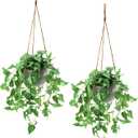 TNNTOPELE Hanging Plant Fake Plants with Pots, 2 Pack Artificial Plants, Faux Anthurium Leaf Basket for Wall Home Room Indoor Outdoor Decor