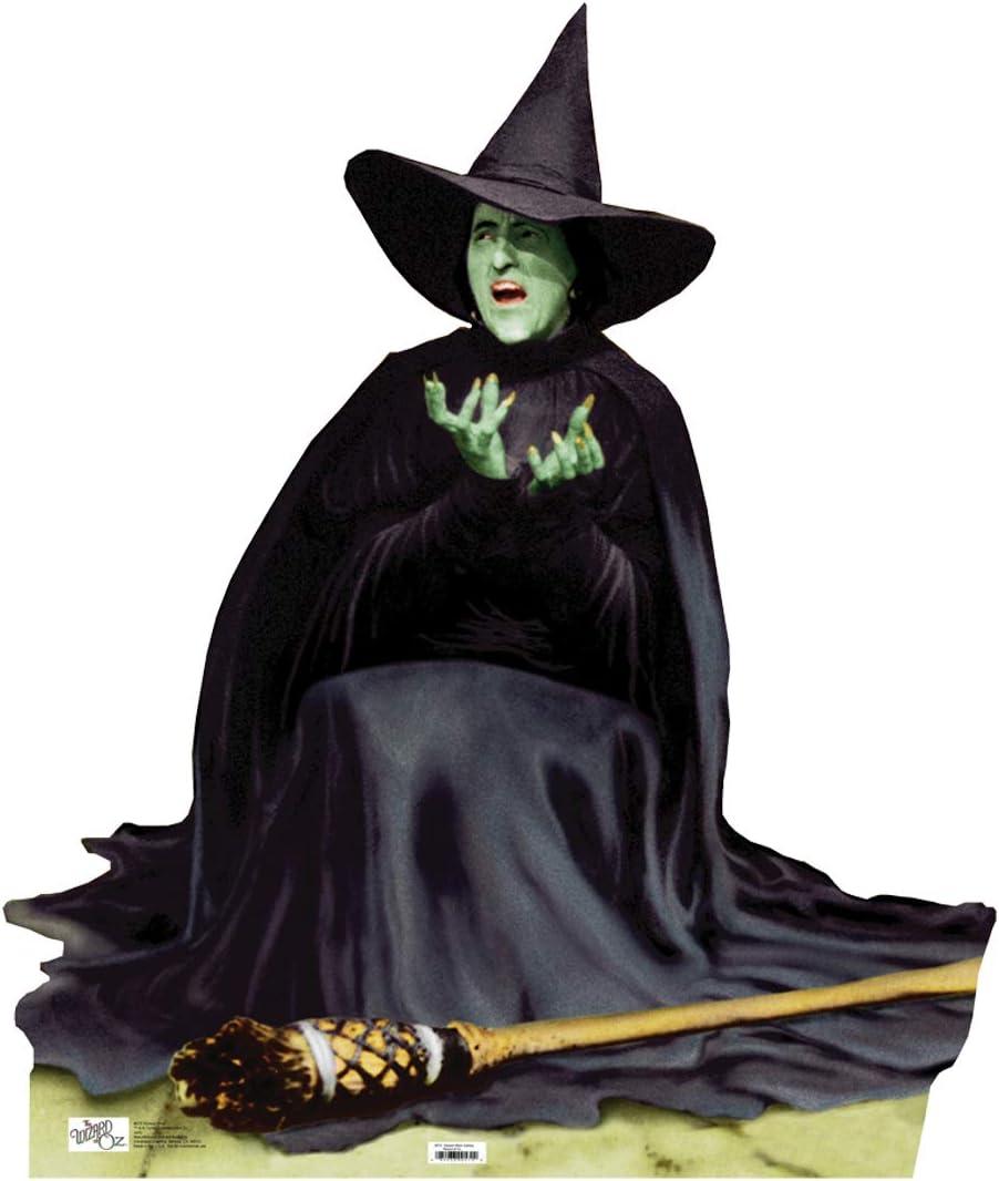Cardboard People The Wicked Witch Melting Cardboard Cutout - Wizard of Oz, One Size