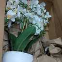 Ziwon Artificial Orchid Flowers & Plants Potted in Ceramic Pot, White Faux Phalaenopsis Orchids for Table Centerpiece, Realistic Fake Flower Arrangement for Home Office Decor Indoor (Ww15)