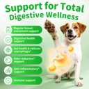 Dog Probiotics & Digestive Enzymes  Pumpkin Fiber Chews for Gut Health, Diarrhea & Upset Stomach Relief, Gas & Stool Support, Beef Flavor Soft Chews  90 Count