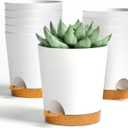 4 inch Small Plant Pots for Outdoor Indoor Plants, 10 Pack Planters with Drainage Holes and Tray, Small Self Watering Pots for Succulent,Cactus, Aloe and Other Plants. (White)