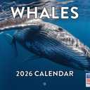 Whale Calendar 2026 Monthly Wall Calender 12 Month | American Made In The USA