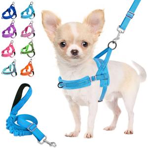 Lukovee No Pull Dog Harness and Leash Set, Soft Padded Small Dog Harness, Neck & Chest Adjustable Reflective Vest Puppy Harness with 4ft Lightweight Anti-Twist Dog Leash for Small Dogs (LBL, XXS) (XXS ( Chest 11.5'' ~ 15''))