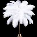 Retrowavy 30 Pcs 14-16 Inches Large Natural Ostrich Feathers Bulk for Centerpieces for Wedding Party Centerpieces Home Decoration Flower Arrangement (White)