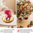 Preserved Flowers Birthday Gifts for Women Forever Rose Gifts for Mom Grandma Wife Valentines Mothers Day Christmas Anniversary Eternal Light Up Red Roses in Glass Dome