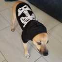 Dog Cat Halloween Skeleton Hoodies Glowing Skull Cute Shirt Puppy Kitteen Costumes Bones Clothes (XL) (XL (14-17lb), Black)