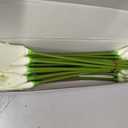 24 Pcs White Artificial Calla Lily Flower White Fake Silk Flowers Real Touch for Wedding Bouquet Office Home Kitchen Decor