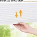 LazBlinds Light Filtering Cellular Shade, White 27" x72" | Foam Adhesive For No Drill Rental Or Screws For PermanentCordless Design With Smooth Up/Down Operation