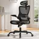 Marsail Ergonomic Mesh Office Chair High Back Home Office Desk Chair with Adaptive Lumbar Support, 2D Headrest, 3D Flip-Up Armrests, Height Adjustable and Rocking Tilt for Home Office and Gaming, 19.69 Inches X 20.47 Inches X 52.75 Inches