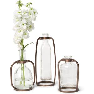 Two's Company Glass Bottle Vases with Metal Stand, 9.5-Inch, Iron, Set of 3