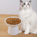 KITCHENLESTAR 6.2 Inch Extra Wide Elevated Ceramic Cat Bowls, Food and Water Bowl Set for Elder Big Cats Small Dogs, Raised Design for Pet Easy Eating, Protect Cat's Spine Set of 1 (White)