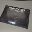 Black Cat Calendar 2026 Wall Black Cats Gifts For Cat Lovers Monthly Calender 12 Month | American Made In The USA