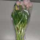 15 Pcs Light Pink Tulips Artificial Flowers Faux Tulips Real Touch Latex Fake Flower Bouquet for Spring Wedding Home Dcor Centerpiece Arrangements