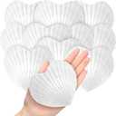 Thyle 12 Pcs Natural Scallop Shells for Crafts 4 Inch Heart Sea Shells for Summer DIY Craft Making Painting Cooking Summer Ocean Themed Party Supplies and Decoration