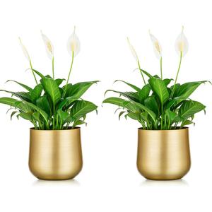 Nuptio 2 Pcs Plant Pot Gold Vase Metal Flower Pot Vase with Drainage Hole, Modern Storage Organizer Decorative Gifts for Wedding Indoor Outdoor Living Room Balcony Decoration Floor Display (5.7in Tall-2pcs, Style 1#)