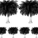 Tigeen 200 Pcs Ostrich Feathers Bulk, 12-14 Inch Large Natural Ostrich Feathers Plumes for Wedding Party Centerpieces DIY Crafts Vase Decorations (Black)