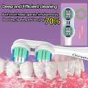 Electric Toothbrush Replacement Heads for Spinbrush Pro Series Compatible with PRO Clean & Pro Whiten (Legacy Handles Only), Medium Bristles, Adult, Individually Wrapped, 10-Pack