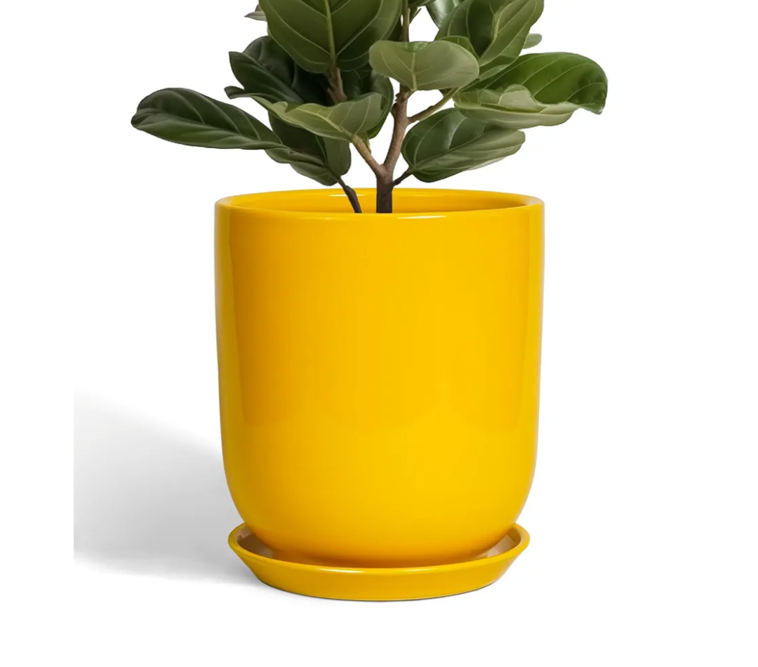 Ceramic Pot for Plants - 10 Inch Plant Pot Indoor with Drainage Hole and Saucer Large Planter for Outdoor Plants Cylinder Decorative Flower Pot Yellow