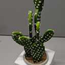 DILATATA 13" Small Fake Cactus Plant Potted 'Prickly Pear Cactus' Faux Cacti for Home Garden Office Decor Housewarming Gifts