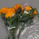 Domensi Mexican Artificial Marigold Flowers Table Centerpiece Decoration 9 Fake Silk Flowers with Metal Pot Halloween Flower Day of The Dead Home Dining Table Decoration for Diwali(Orange)