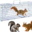 24 Humane Animal Trap Live Animal Trap Cage for Squirrels Small Stray Cats Rabbits Groundhogs Moles Gophers and Chipmunks up to 5.5 lbs Galvanized Rustproof Live Animal Cage Trap