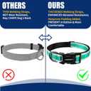 2 x Kazazoo Reflective Dog Collar with Soft Padding Dog Collar for Medium & Small Dogs, No Pull, Heavy Duty, Adjustable Nylon Collar with Quick-Release Buckle, Walking Training-Green-S