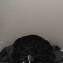 RISISSIDA Women Winter Parka Puffy Coat,Puffer Jacket with Long Fur Collar Hooded,Thicken Warm Bubble Overcoat for Deep Cold Medium