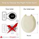 Angol Shiold PP Slow Close Toilet Seat (Round, Almond)