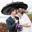 VIVI SKY Pagoda Peak Old-fashionable Ingenuity Umbrella Parasol (black), 35 Inch