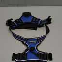 rabbitgoo Dog Harness No Pull with 2 Leash Clips, Adjustable Soft Padded, Reflective Oxford No Choke Pet Vest with Easy Control Handle for Medium Sized Dogs, Dazzling Blue, M