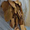 Lunmon 2 Pack Artificial Fall Eucalyptus Trees, 4 ft, Yellow