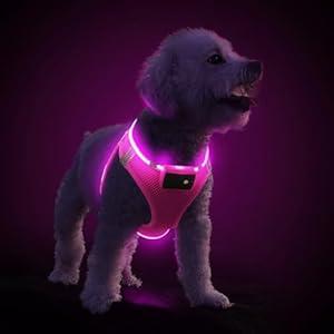 PcEoTllar Light Up Dog Harness, LED Dog Harness for Puppy Small Medium Dogs, Rechargeable No Pull Reflective Dog Harness, Flashing Lighted Dog Harness for Night Walking (Pink, M)