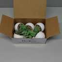 Der Rose Set of 6 Succulents Plants Artificial in Pots Small Fake Plants for Bedroom Aesthetic Living Room Shelf Bathroom Decor Office Desk Accessories (Green)