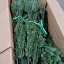 National Tree Company 7.5 ft Pre-Lit Jersey Fraser Fir Artificial Christmas Tree, 1,250 Clear Lights, 3,144 Tips, Includes Stand, Green